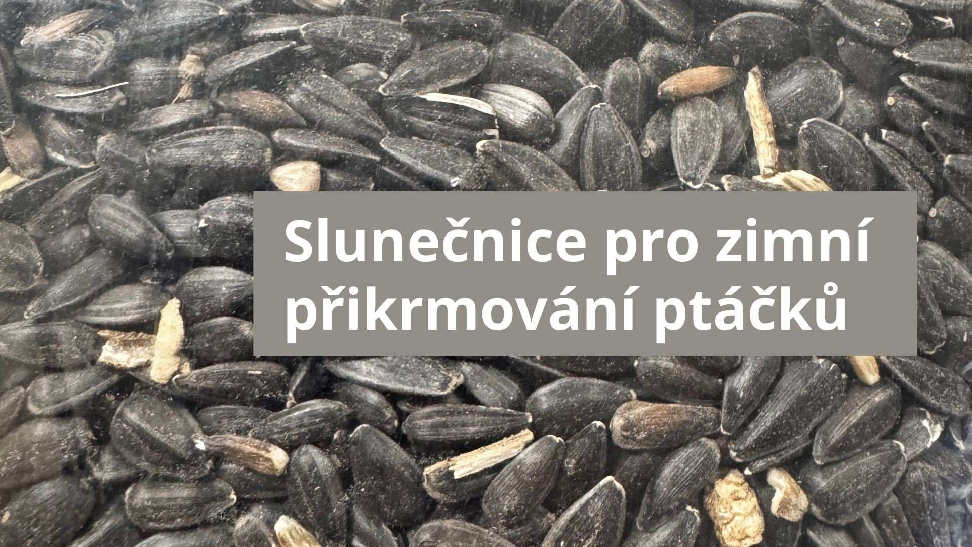 Zimní přikrmování